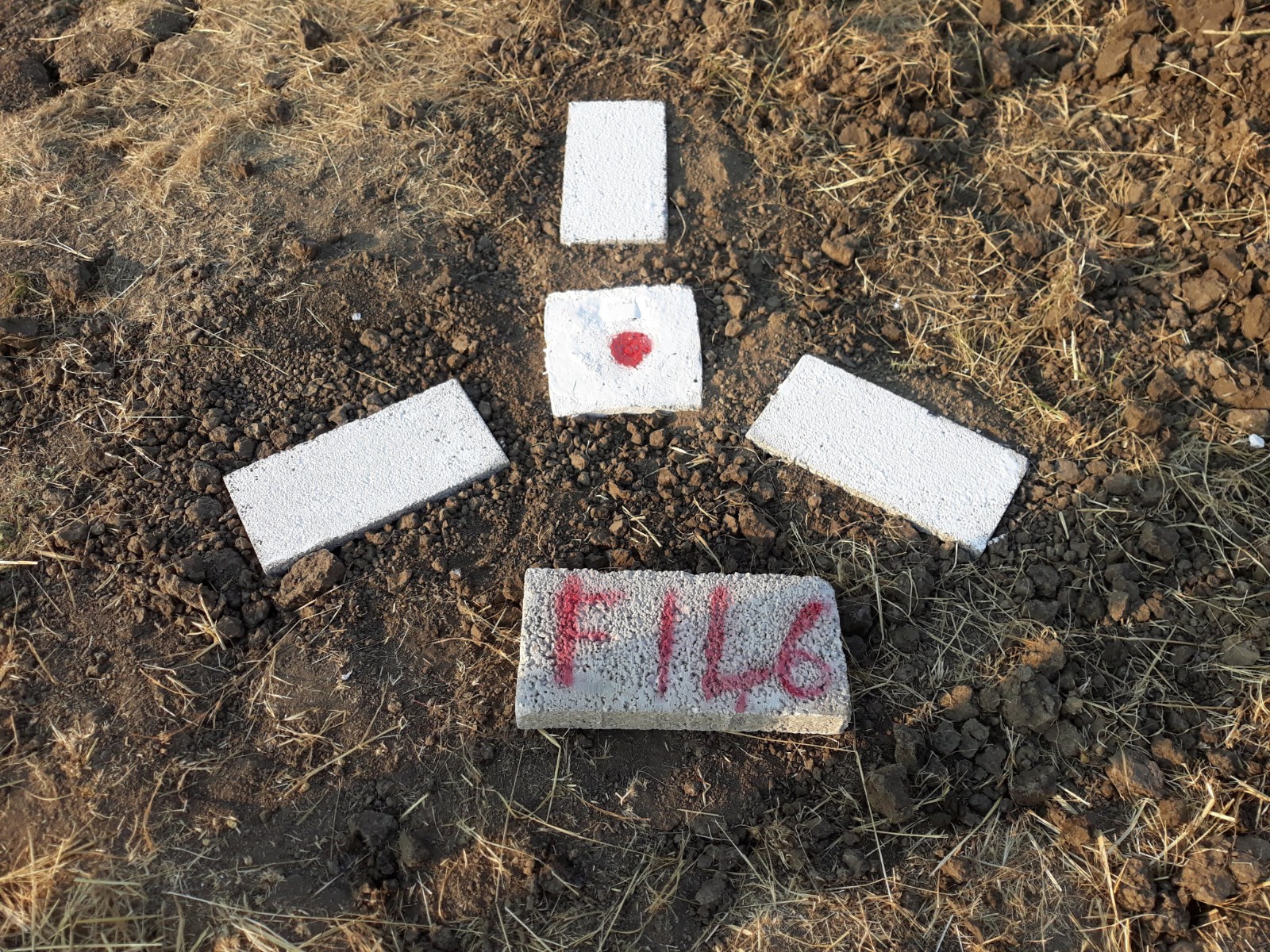 ETKİNLİK RESİMLERİ